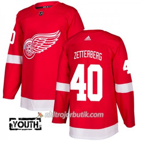 Barn Ishockey Detroit Red Wings Tröja Henrik Zetterberg 40 Adidas 2017-2018 Röd Authentic